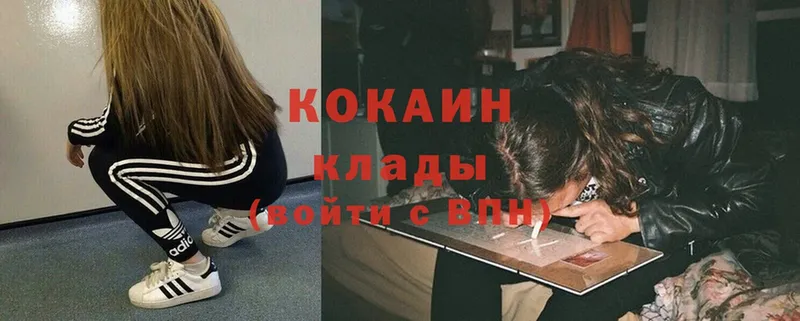 где купить   Гуково  Cocaine FishScale 